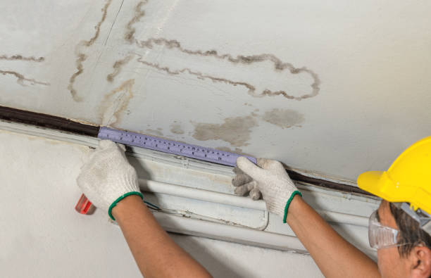 Reliable Mold Remediation contractor in Salem, OR by Water Damage Irwin